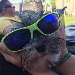 Meet your Posher, Shawn